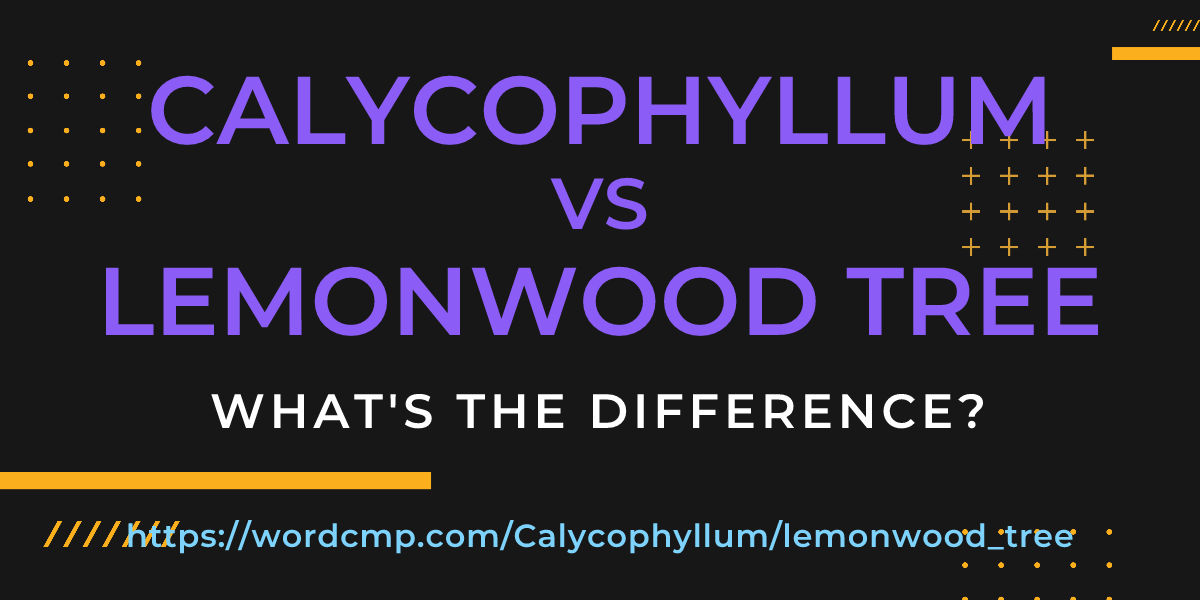 Difference between Calycophyllum and lemonwood tree