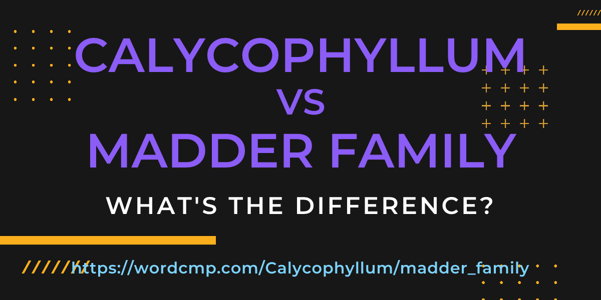 Difference between Calycophyllum and madder family