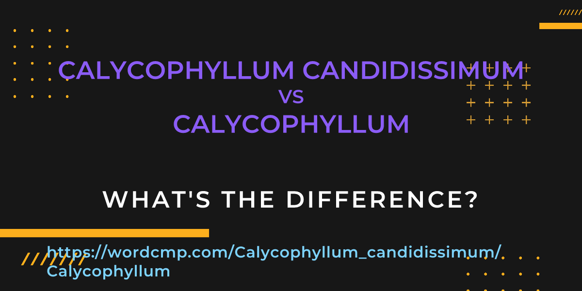Difference between Calycophyllum candidissimum and Calycophyllum
