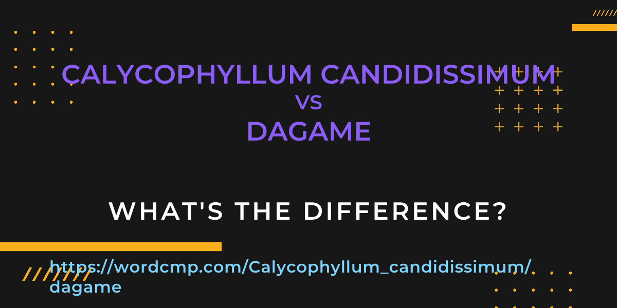 Difference between Calycophyllum candidissimum and dagame