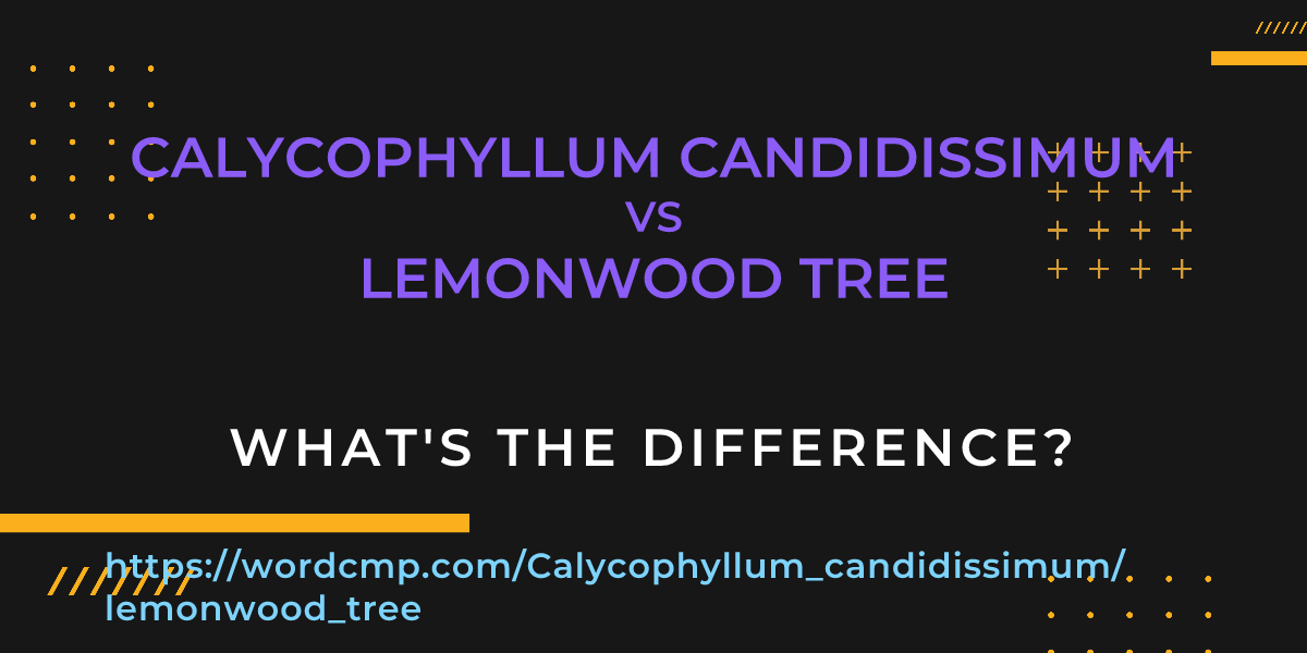 Difference between Calycophyllum candidissimum and lemonwood tree