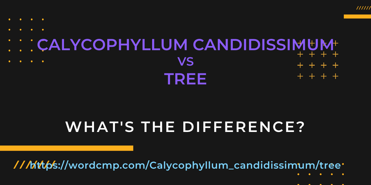 Difference between Calycophyllum candidissimum and tree
