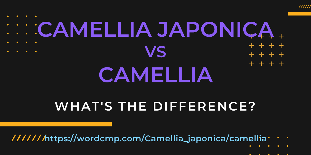 Difference between Camellia japonica and camellia