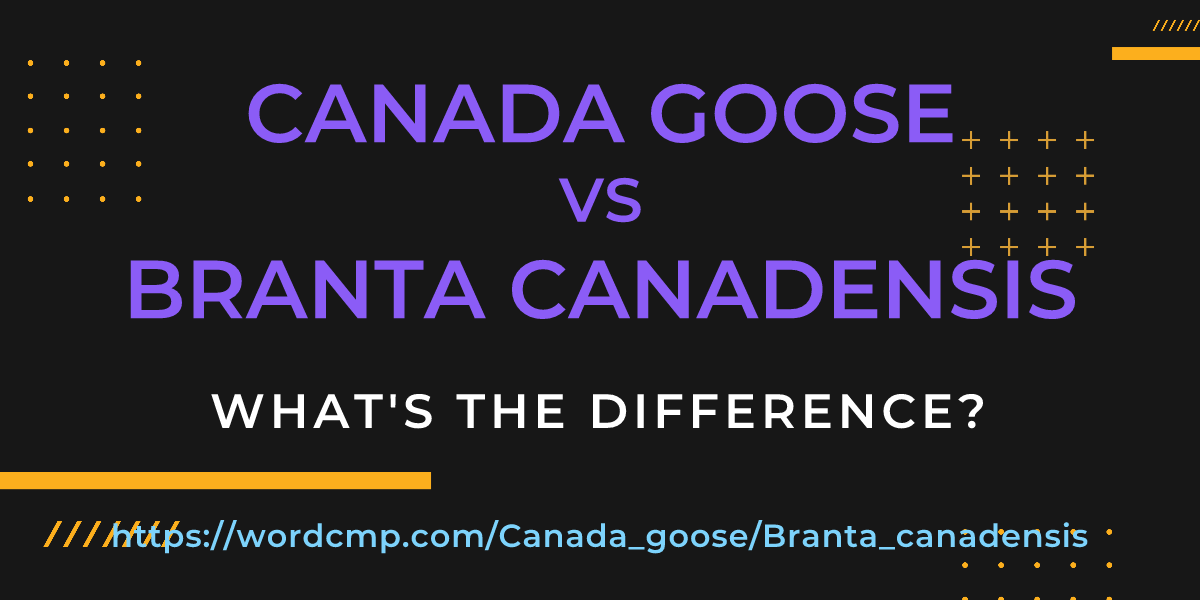 Difference between Canada goose and Branta canadensis