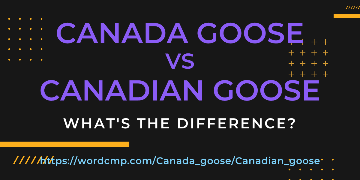 Difference between Canada goose and Canadian goose