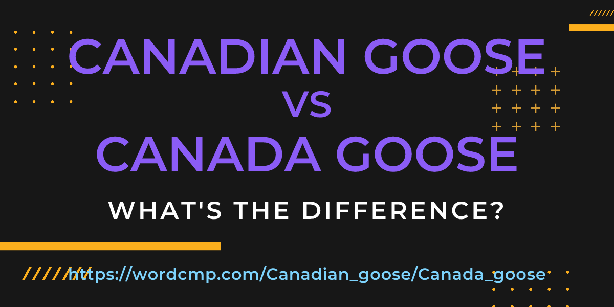 Difference between Canadian goose and Canada goose