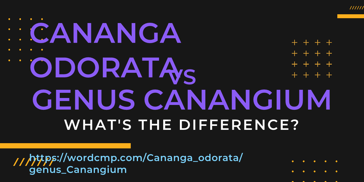 Difference between Cananga odorata and genus Canangium