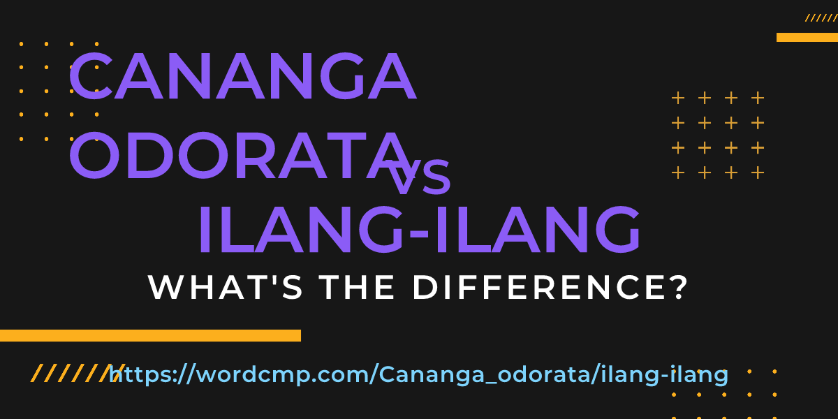 Difference between Cananga odorata and ilang-ilang