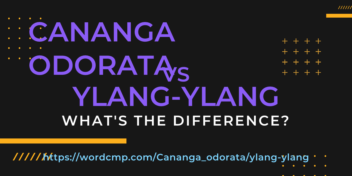 Difference between Cananga odorata and ylang-ylang
