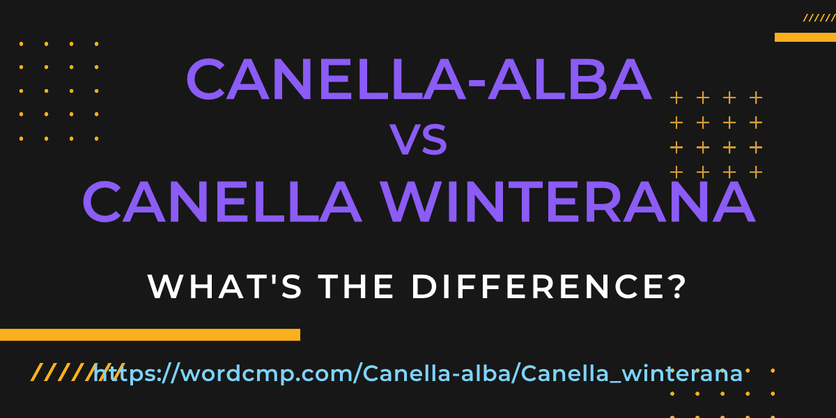 Difference between Canella-alba and Canella winterana
