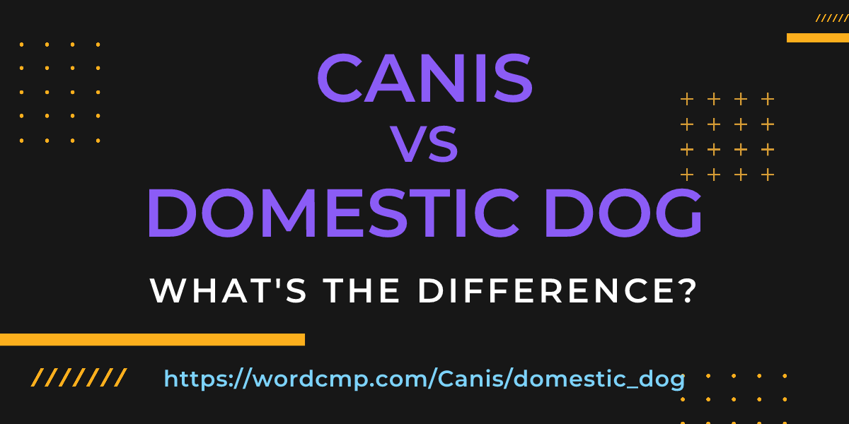 Difference between Canis and domestic dog