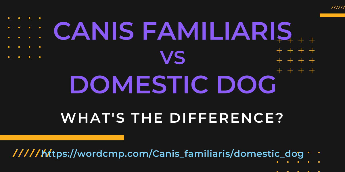 Difference between Canis familiaris and domestic dog