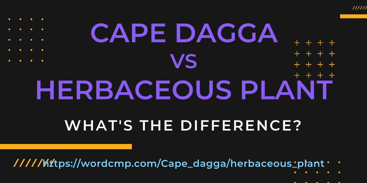 Difference between Cape dagga and herbaceous plant