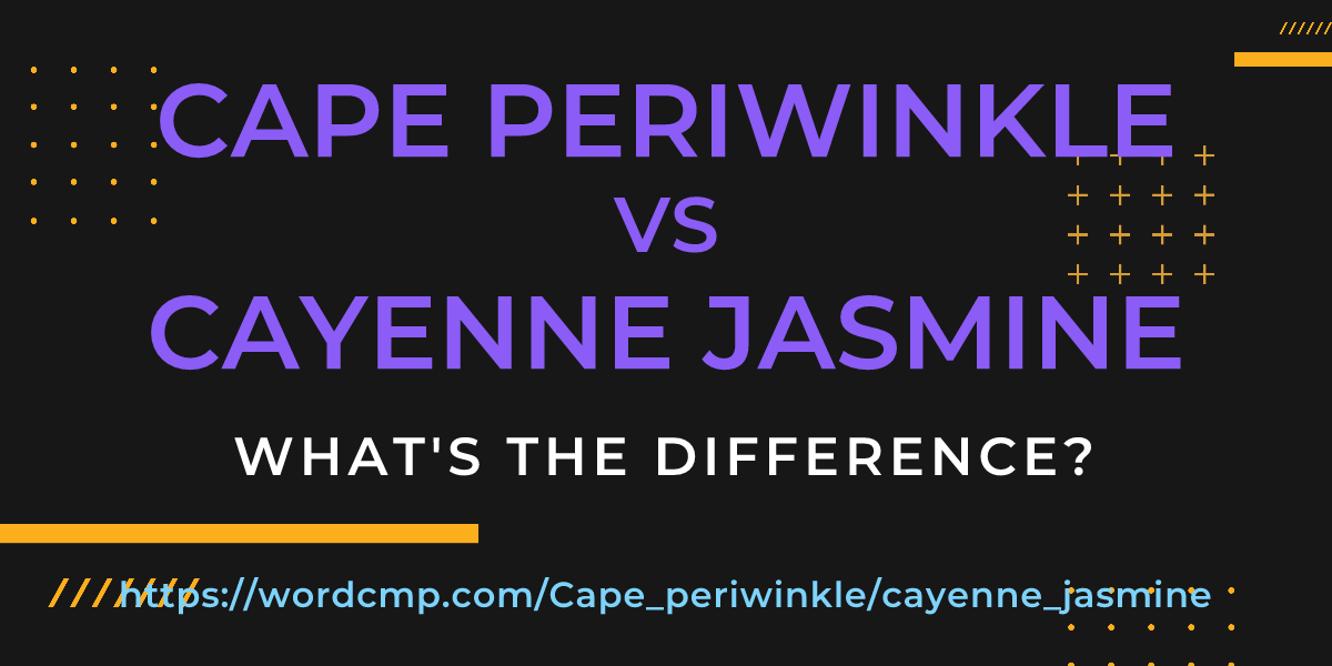 Difference between Cape periwinkle and cayenne jasmine