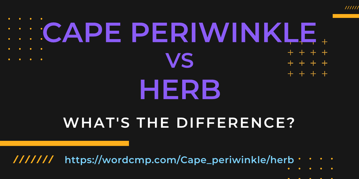 Difference between Cape periwinkle and herb