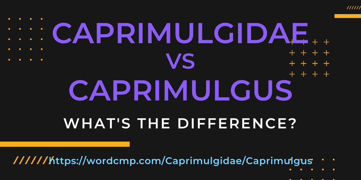 Difference between Caprimulgidae and Caprimulgus