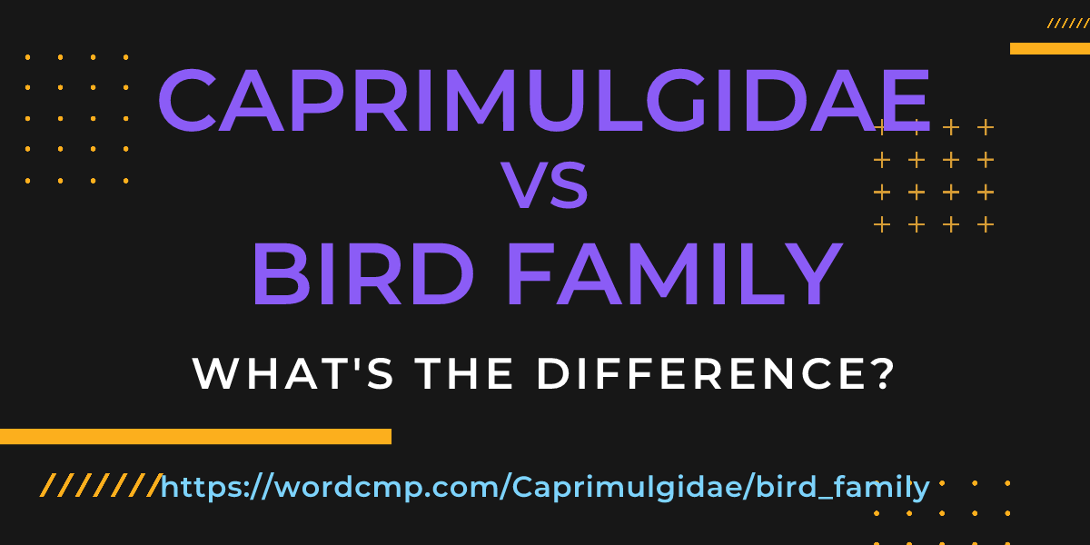 Difference between Caprimulgidae and bird family