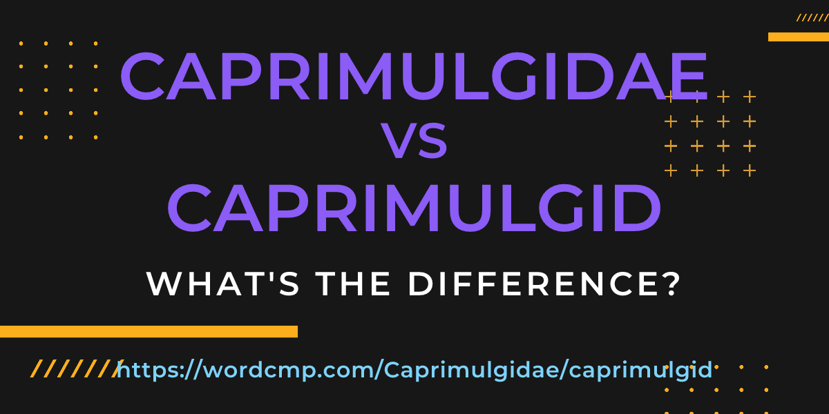 Difference between Caprimulgidae and caprimulgid