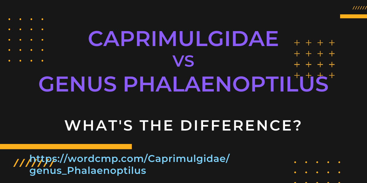 Difference between Caprimulgidae and genus Phalaenoptilus