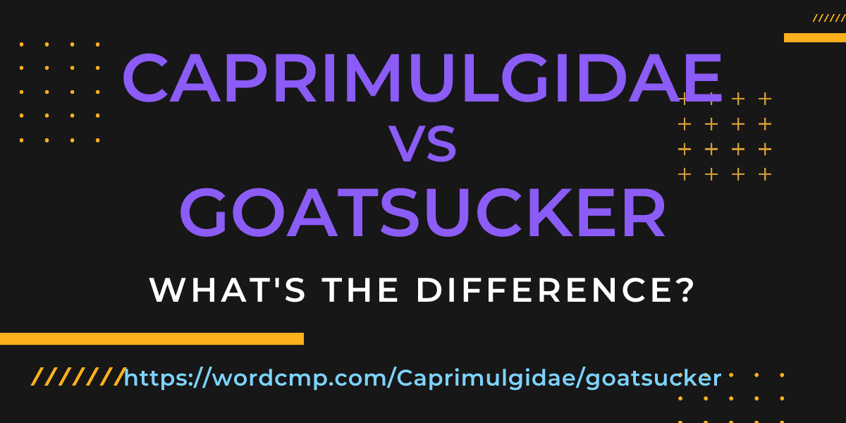 Difference between Caprimulgidae and goatsucker