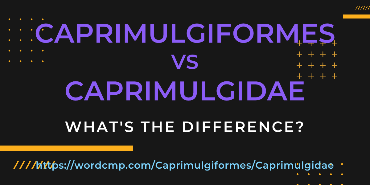 Difference between Caprimulgiformes and Caprimulgidae