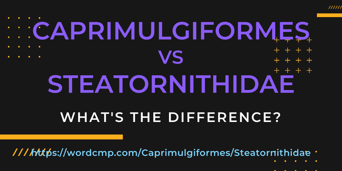 Difference between Caprimulgiformes and Steatornithidae