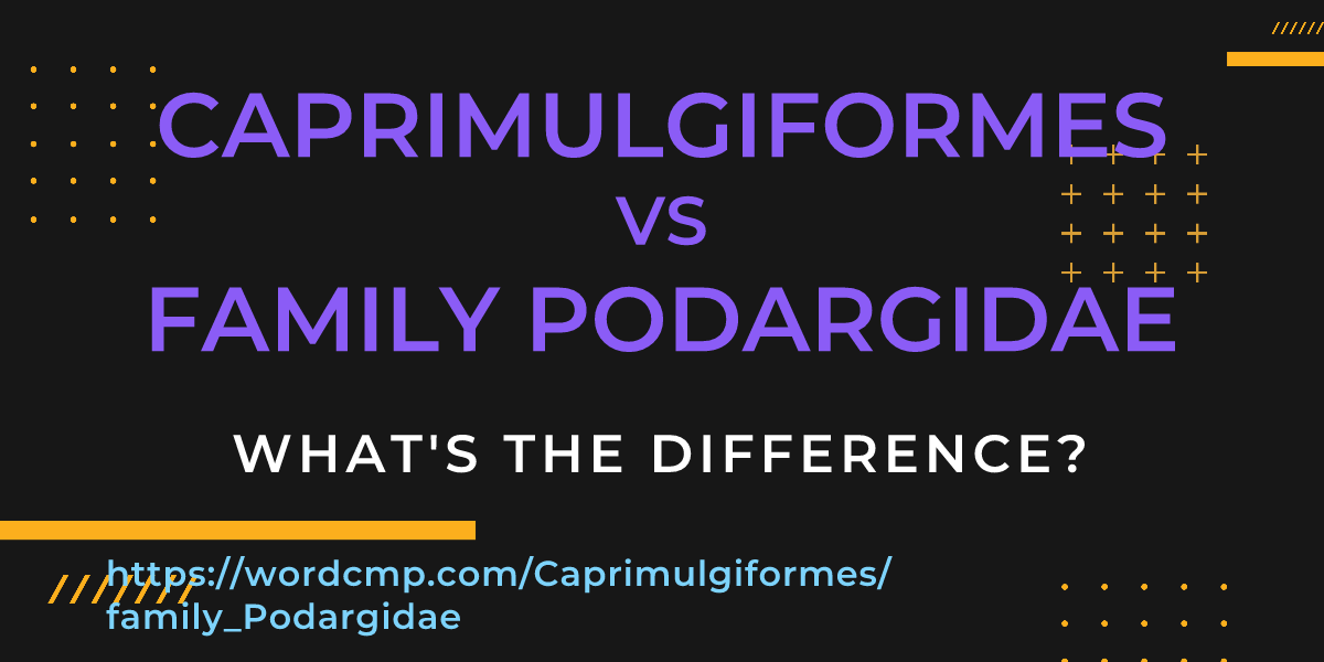 Difference between Caprimulgiformes and family Podargidae