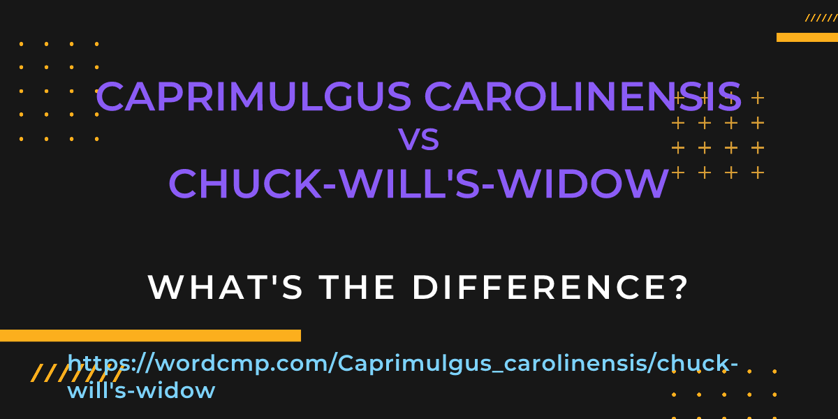 Difference between Caprimulgus carolinensis and chuck-will's-widow