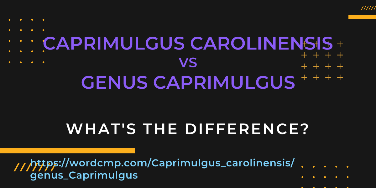 Difference between Caprimulgus carolinensis and genus Caprimulgus