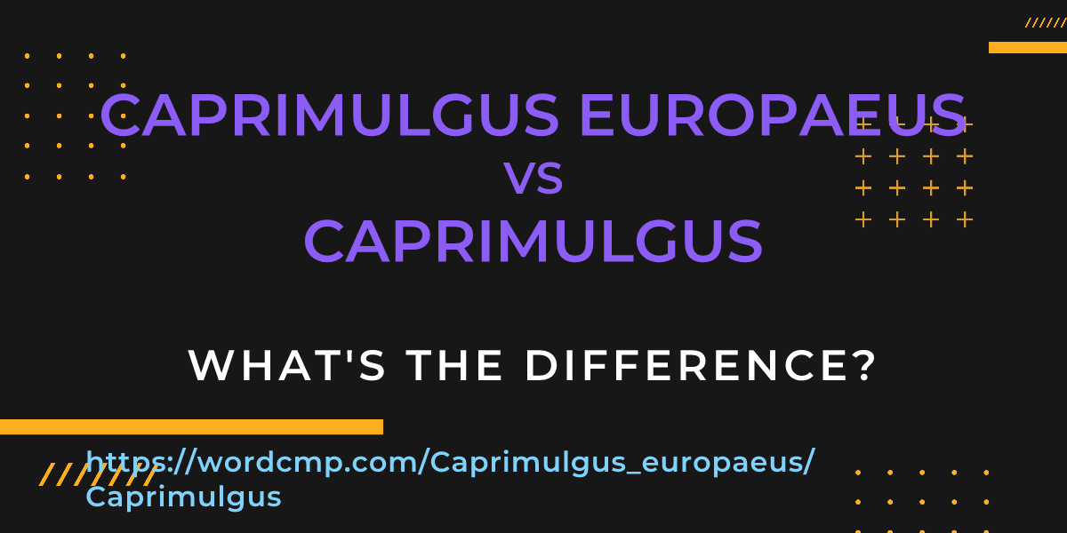 Difference between Caprimulgus europaeus and Caprimulgus