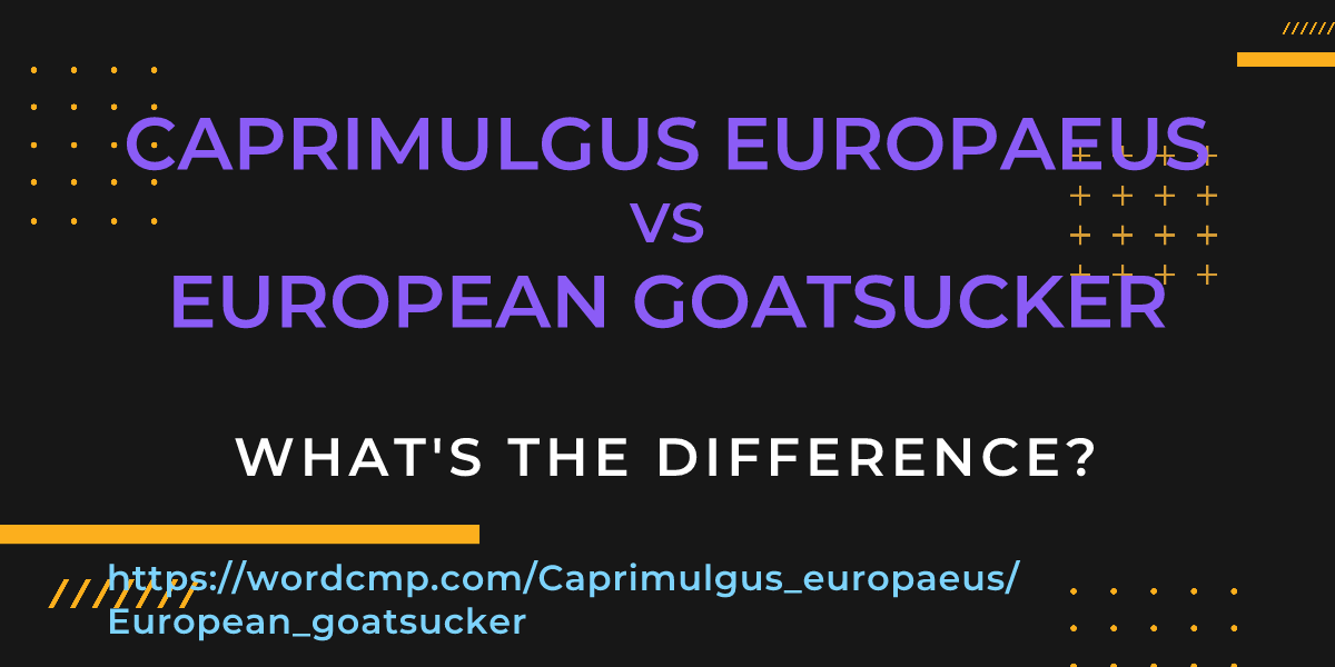 Difference between Caprimulgus europaeus and European goatsucker