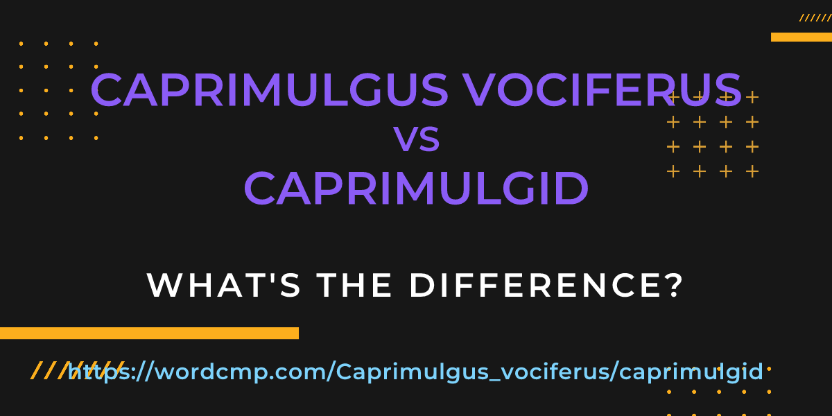 Difference between Caprimulgus vociferus and caprimulgid