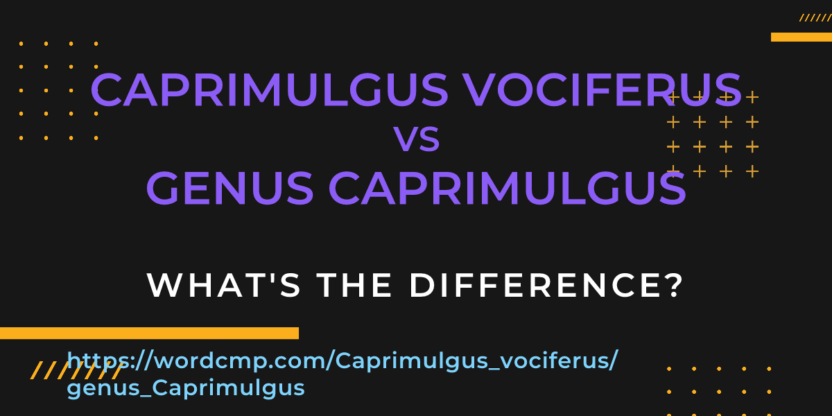 Difference between Caprimulgus vociferus and genus Caprimulgus