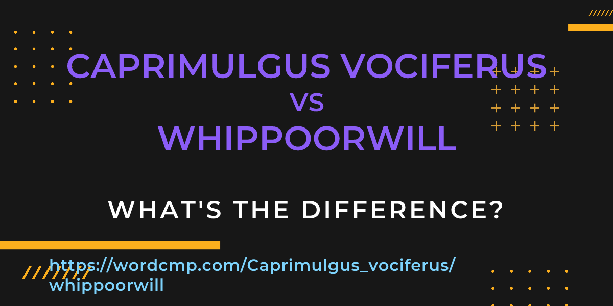 Difference between Caprimulgus vociferus and whippoorwill
