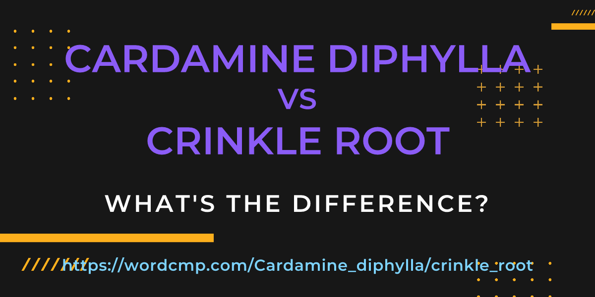 Difference between Cardamine diphylla and crinkle root
