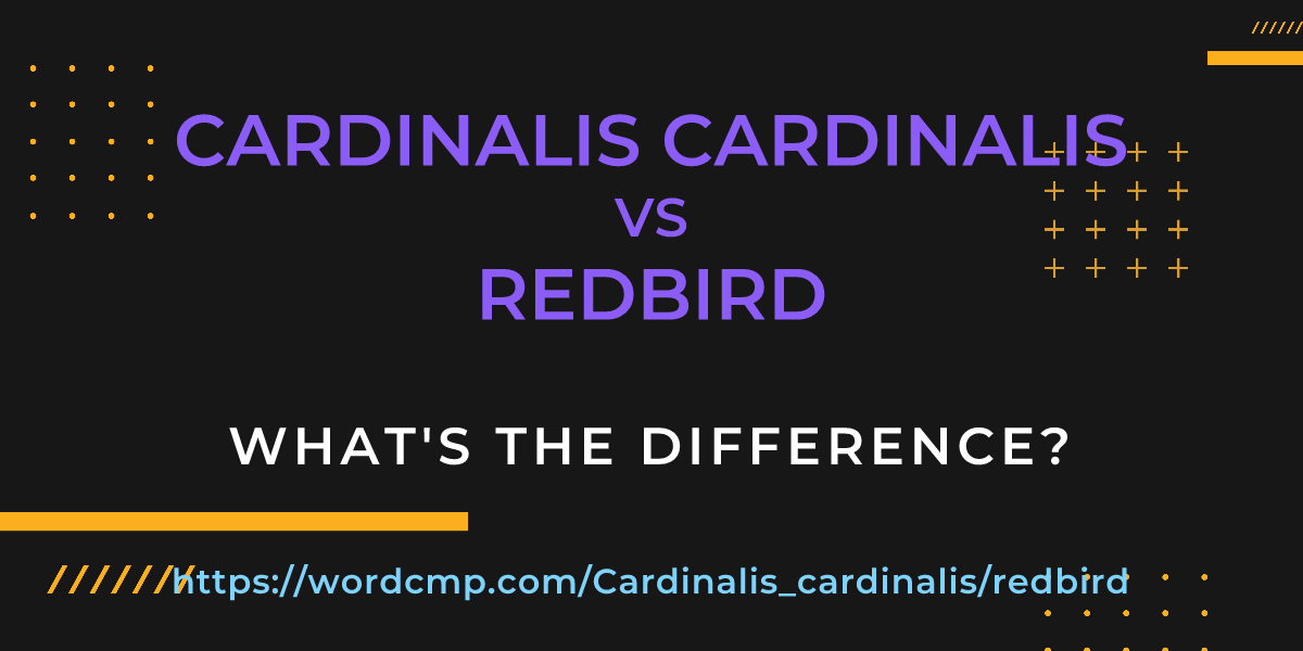 Difference between Cardinalis cardinalis and redbird