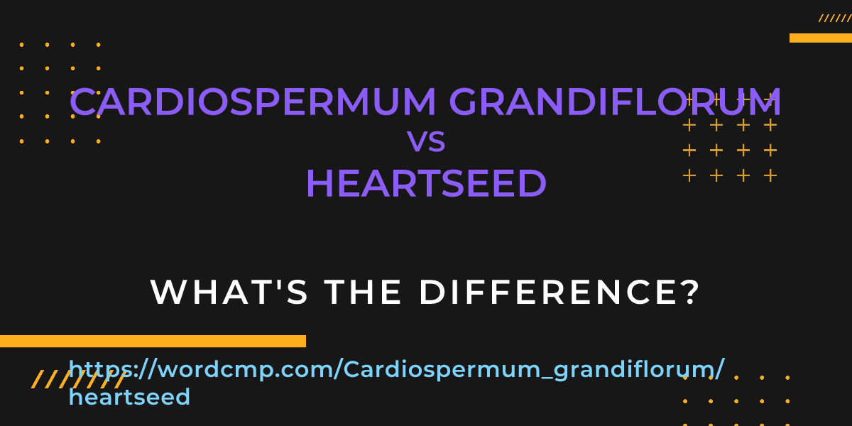 Difference between Cardiospermum grandiflorum and heartseed