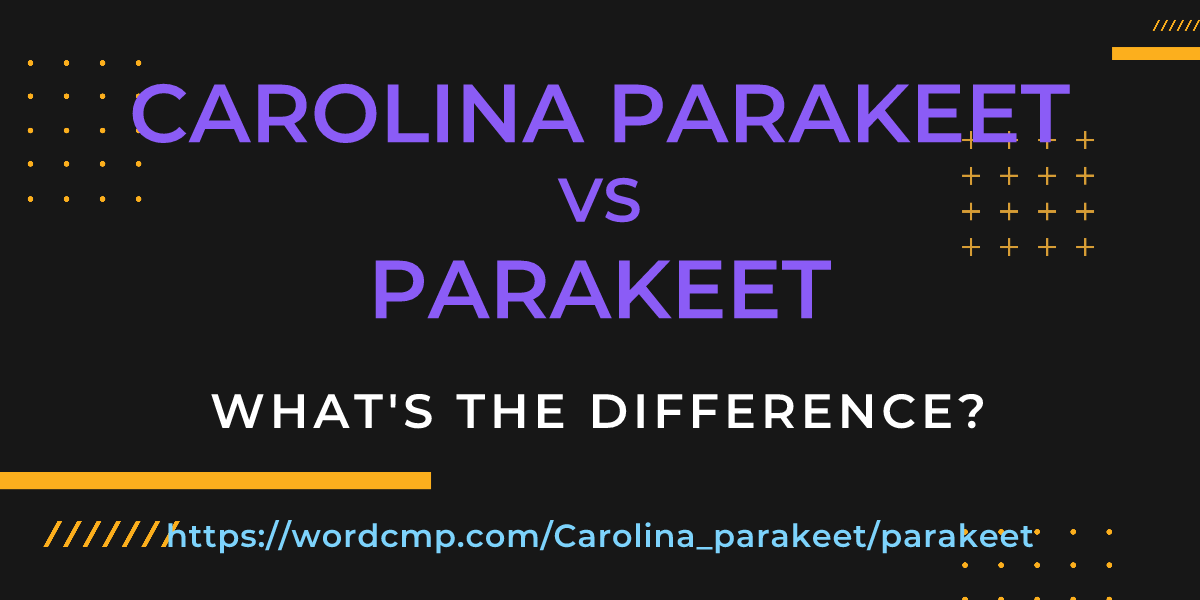 Difference between Carolina parakeet and parakeet