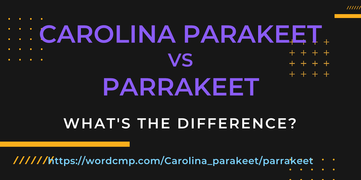 Difference between Carolina parakeet and parrakeet