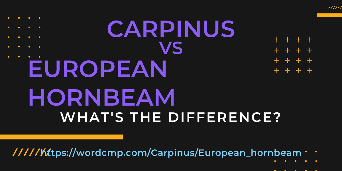 Difference between Carpinus and European hornbeam