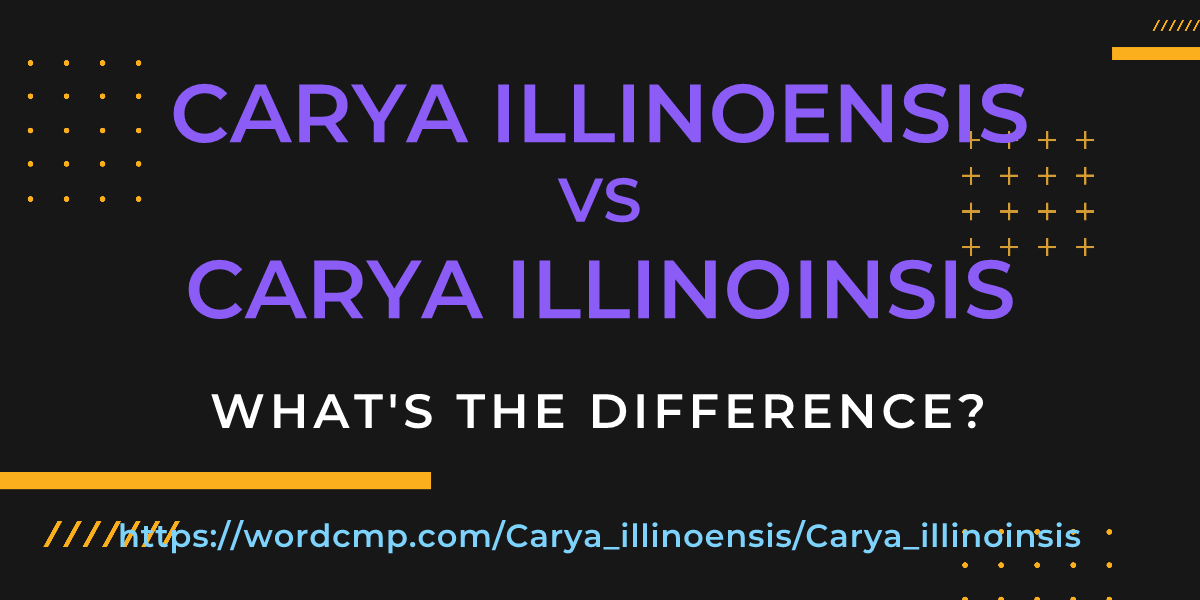 Difference between Carya illinoensis and Carya illinoinsis