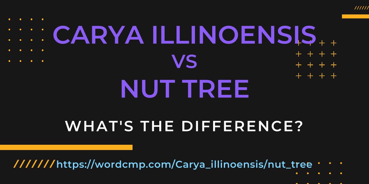 Difference between Carya illinoensis and nut tree