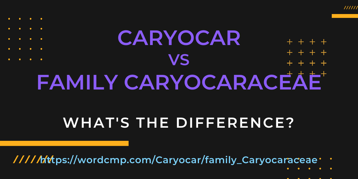 Difference between Caryocar and family Caryocaraceae