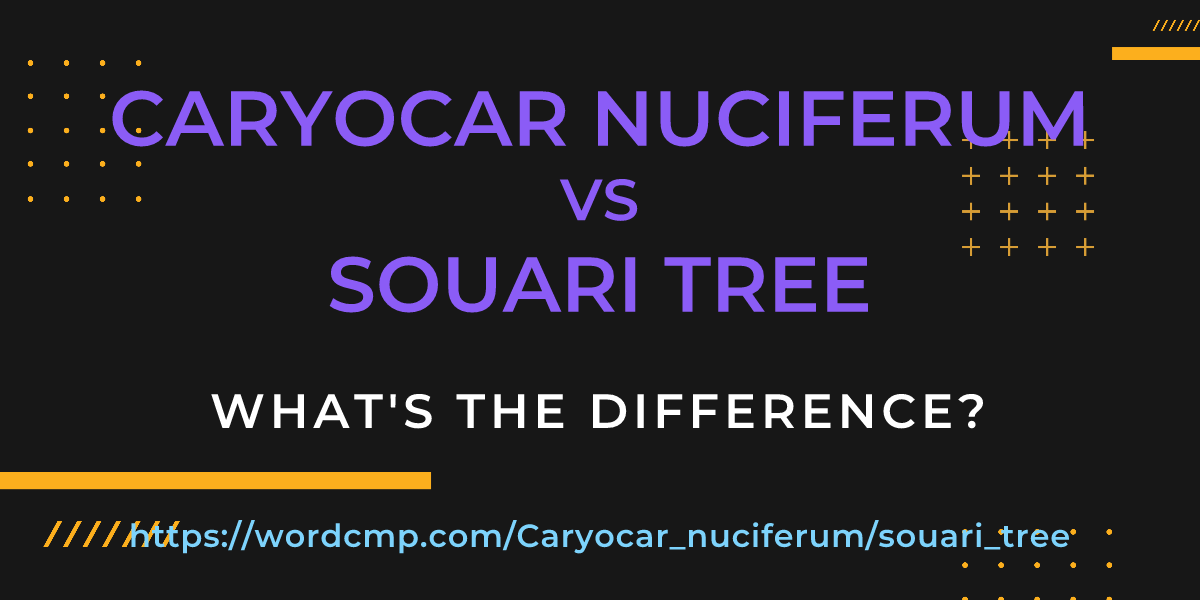 Difference between Caryocar nuciferum and souari tree