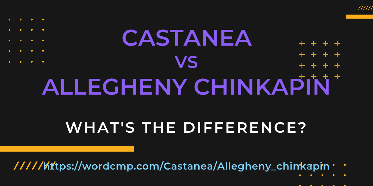 Difference between Castanea and Allegheny chinkapin