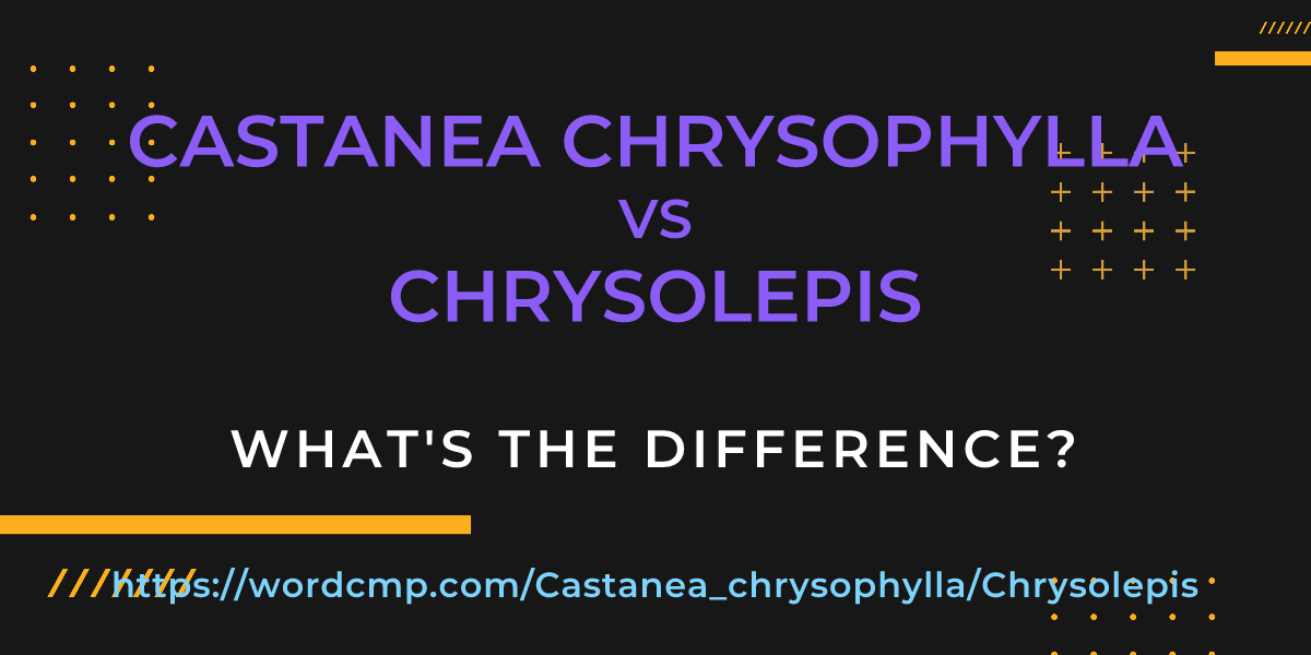 Difference between Castanea chrysophylla and Chrysolepis