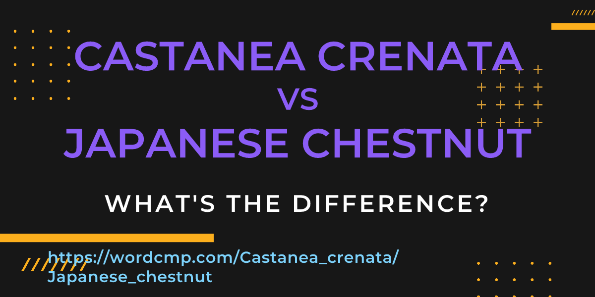 Difference between Castanea crenata and Japanese chestnut