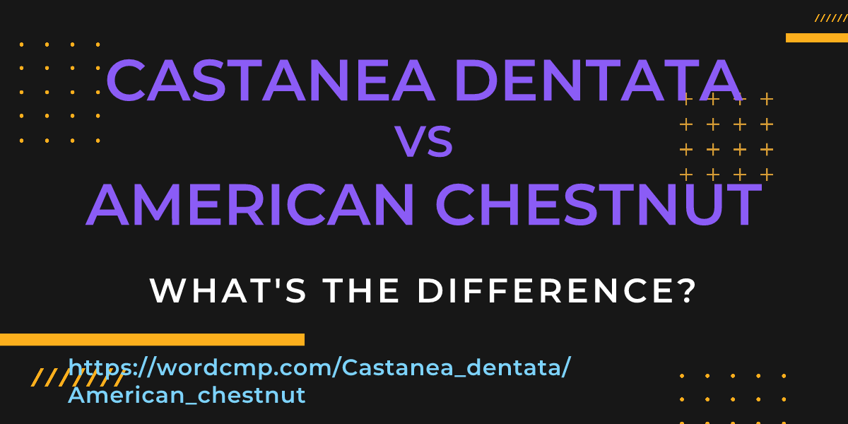 Difference between Castanea dentata and American chestnut