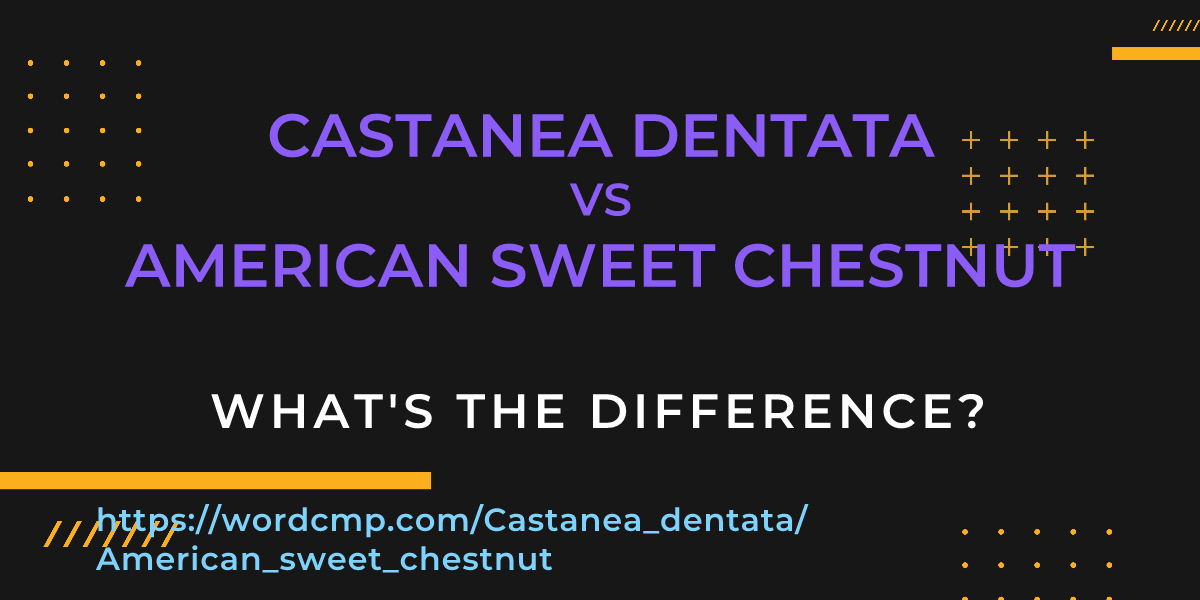 Difference between Castanea dentata and American sweet chestnut