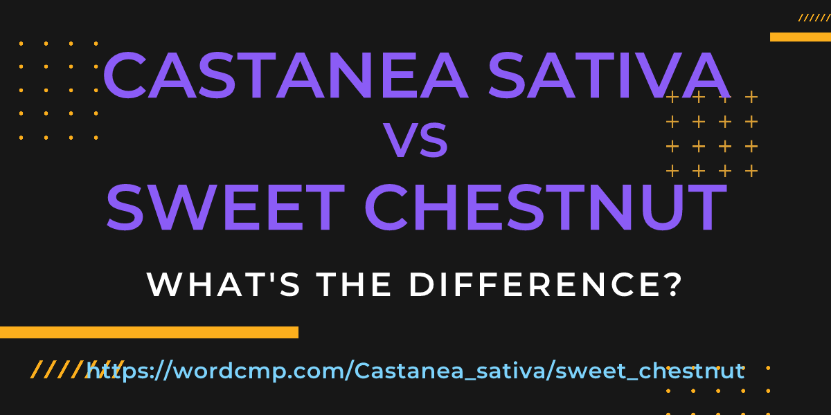 Difference between Castanea sativa and sweet chestnut
